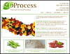 CD Process
